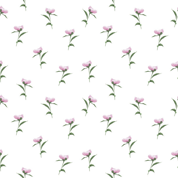 水彩牡丹无缝图案。图片下载