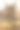 欧洲家猫。欧洲野猫的特写肖像图片下载