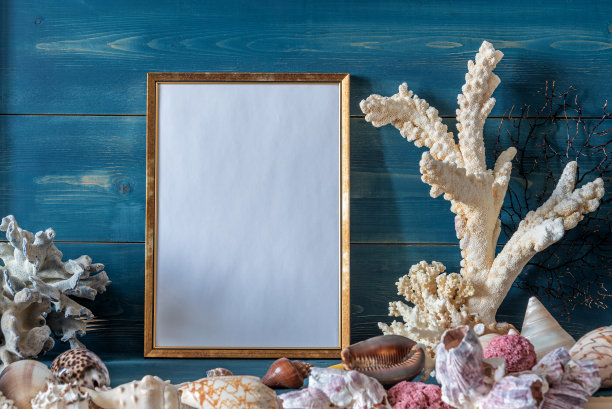 模板与空白相框在桌子上与贝壳和珊瑚。海的主题。图片下载