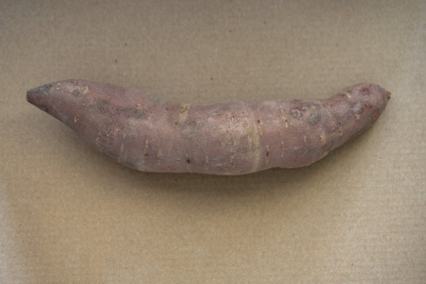 生红薯图片下载