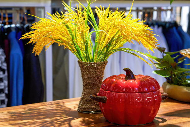 中国办公室桌面上的植物和假大米装饰图片下载