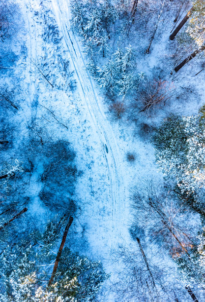 冬季公路上的汽车鸟瞰图。航拍雪林与汽车在路上。航拍照片。图片下载
