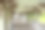公园里长走道的特写图片下载