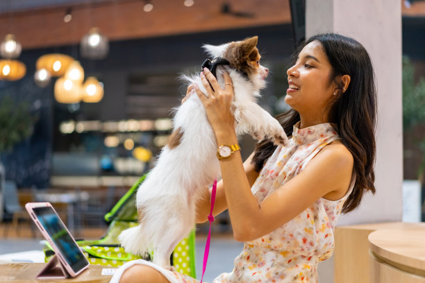 一名亚洲女子在宠物友好型购物中心的咖啡馆里和她的吉娃娃狗玩耍。图片下载