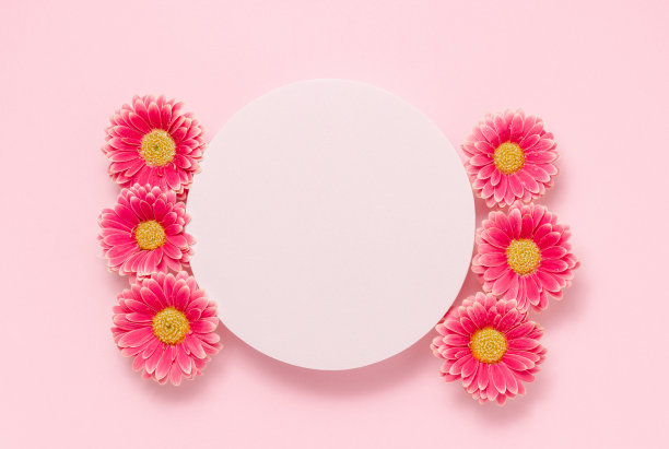空白讲台与洋甘菊花在粉红色的背景顶视图图片下载