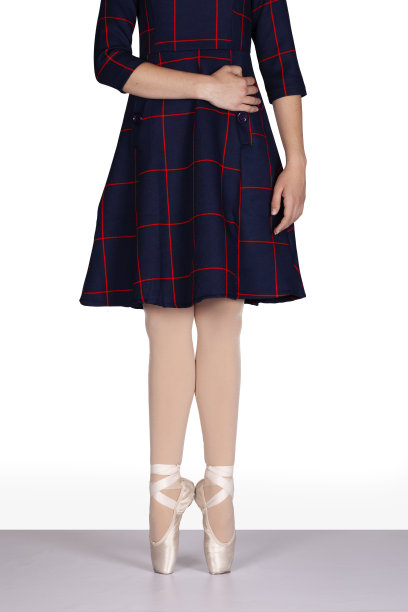 脚尖正确高跟鞋双手在腰部和侧面放松教师视角年轻舞者格子呢连衣裙粉色丝绸和缎面尖头鞋为老师和学生的最佳脚尖位置参考图片下载