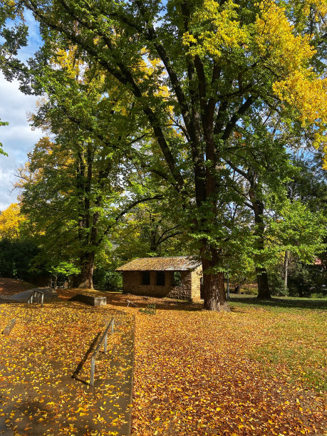 秋天树下的石屋图片下载