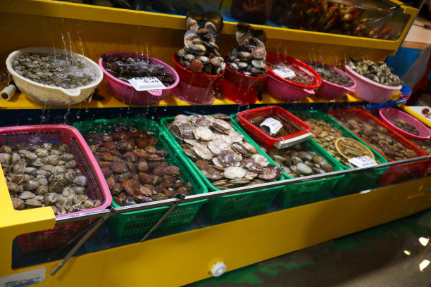 海鲜市场上有很多种类的贻贝图片下载