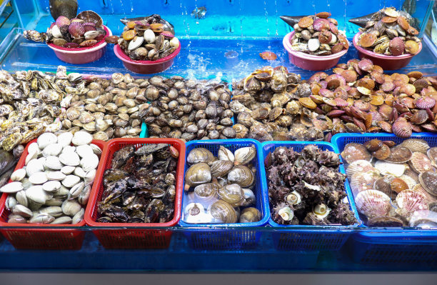 海鲜市场上有很多种类的贻贝图片下载