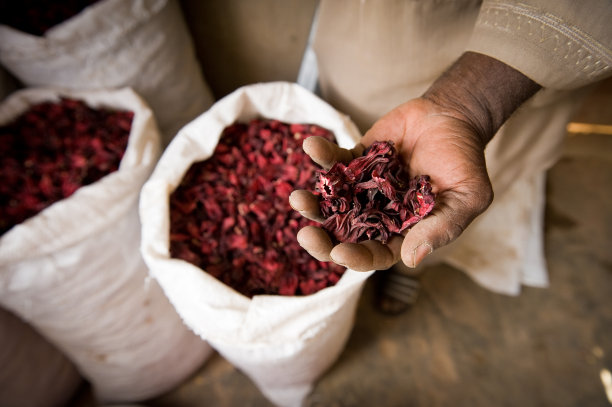 非洲塞内加尔的Bissap(木槿)生产图片下载