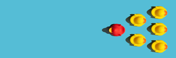 一个独特的橡皮鸭概念在蓝色的背景图片下载