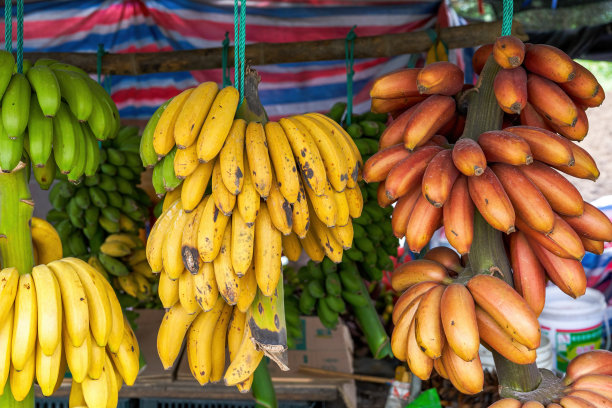 热带水果，红熟红香蕉图片下载