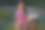 一个亚洲女服务员看着镜头的照片。微笑着的中国女服务员站在桌子前的露台上。图片下载