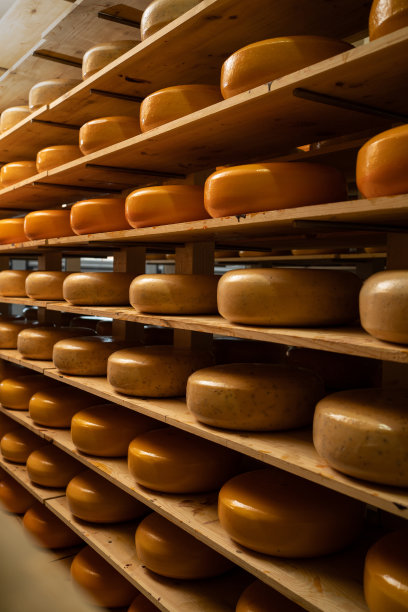 奶制品生产工厂货架上的各种口味的奶酪轮。意大利帕尔马小奶酪农场的硬奶酪。在牛奶工厂储存。乳制品厂。食品行业。图片下载