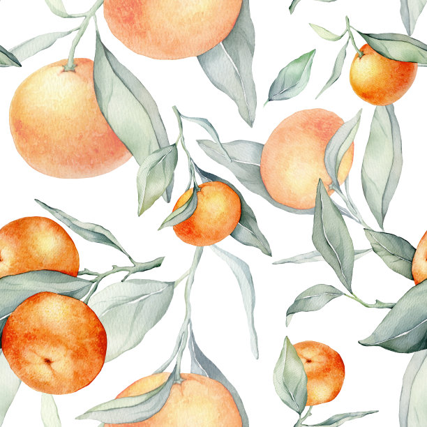 无缝水彩柑橘水果和树叶的图案。绿叶和橙色的果实在白色的背景上。无缝的橘子和橘子水彩插图图片下载