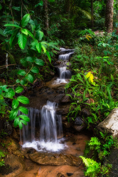 泰国Krating瀑布自然公园。图片下载