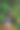泰国Krating瀑布自然公园。图片下载