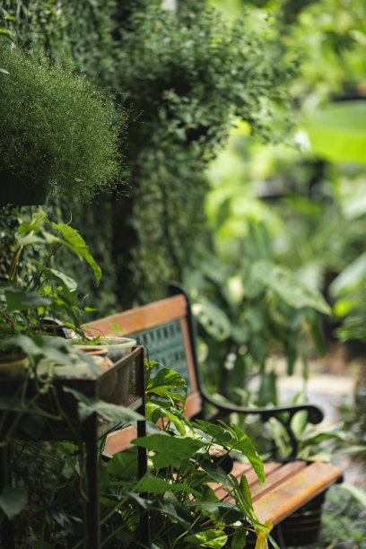 地球日与环境生态，概念，绿色自然空间与植物和树木的房子或咖啡馆外，地球环境保护与全球可持续能源的关怀图片下载