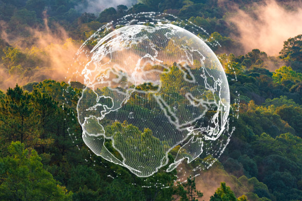 地球日生态理念以热带森林树为背景，自然造林保护场景以全球可持续能源和绿色环境可再生发展，地球生态系统图片下载