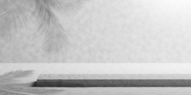 空白讲台与椰子叶阴影热带夏季3D渲染图片下载