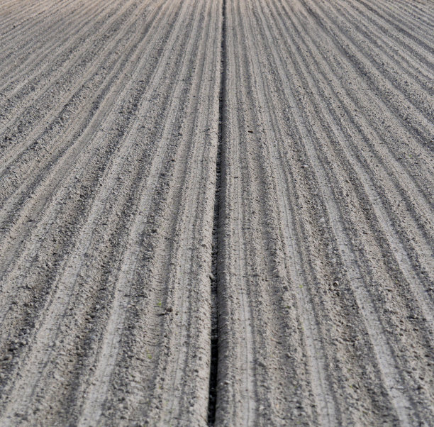 正在耕种的田地/种畦图片下载