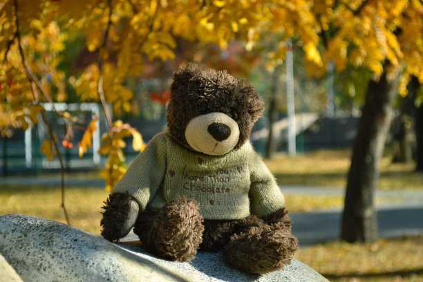 特写泰迪熊坐在秋天公园里的一块石头上图片下载