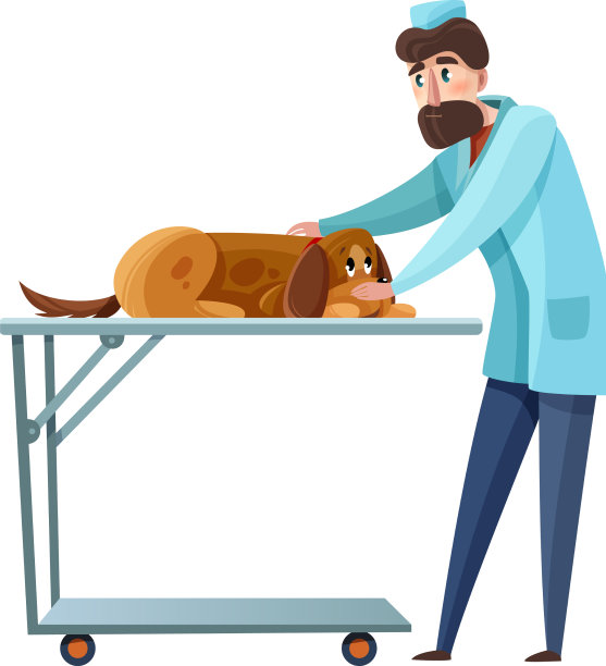 平的兽医图片下载