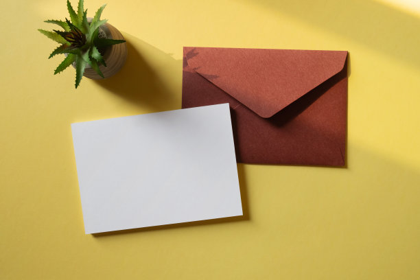 白色空白问候或邀请卡与仙人掌装饰在黄色背景。模拟演示。图片下载