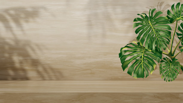 空地露台，墙壁和地板上都有树叶的阴影图片下载