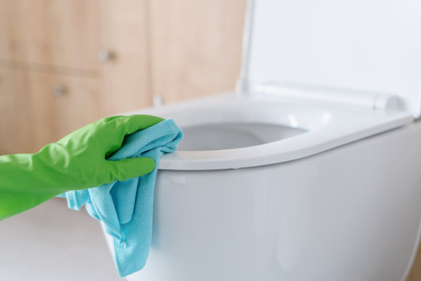 现代厕所的客房管理和清洁图片下载