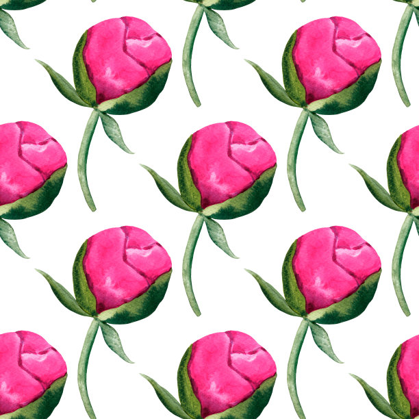 手绘粉红牡丹绿叶水彩图案图片下载