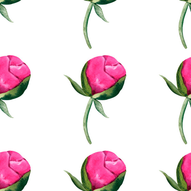 手绘粉红牡丹绿叶水彩图案图片下载