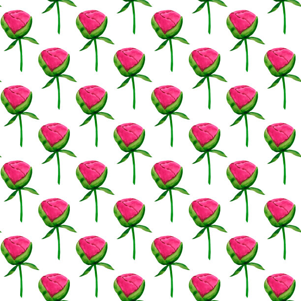 手绘粉红牡丹绿叶水彩图案图片下载