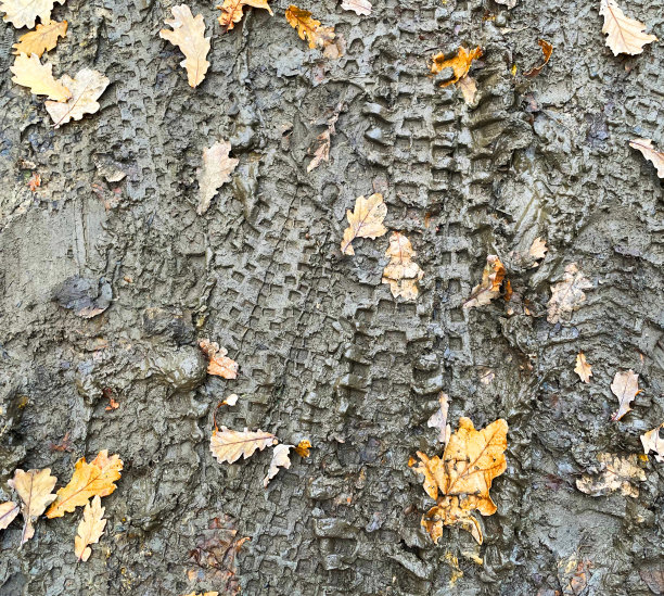 自行车轮胎印图片下载
