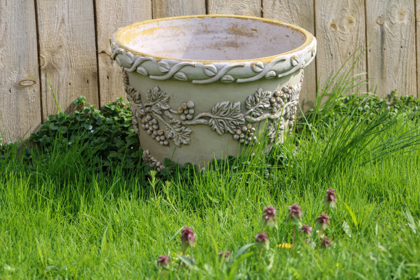 院子里的空花盆图片下载