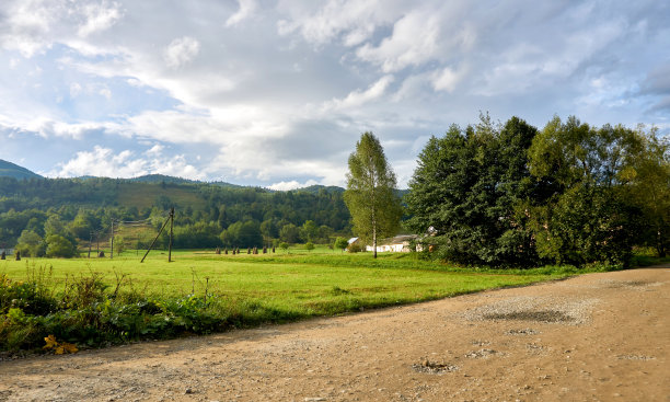 丘陵地区绿色牧场旁的土路图片下载