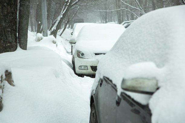 在一个寒冷的冬日里，一排停在城市街道上的汽车在树木之间的道路附近，一场大雪覆盖了车辆。图片下载