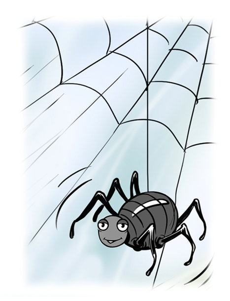 一只蜘蛛图片下载