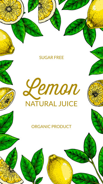 垂直柠檬背景。手绘彩色矢量插图在素描风格。设计包装，邀请，贺卡图片下载