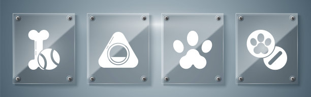 集狗和药丸，爪印，宠物床和宠物玩具骨橡胶和球。方形玻璃板。向量图片下载