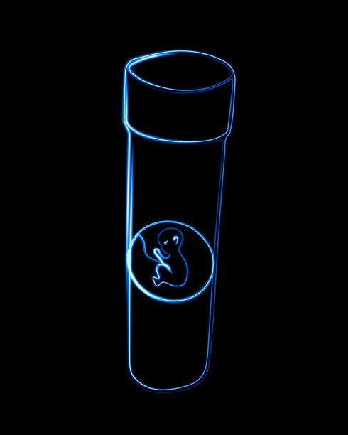 试管中的胚胎图片下载