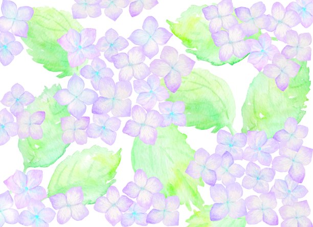 从上面看绣球花田的插图。图片下载