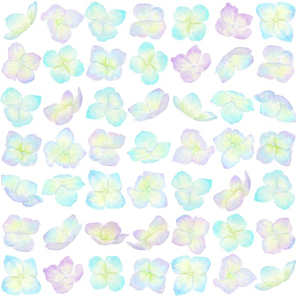 到处都是五颜六色的绣球花。图片下载