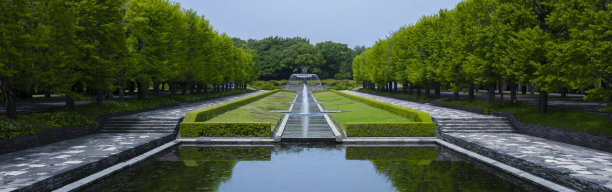 公园的池塘里图片下载