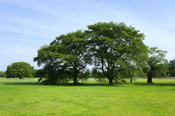 格林公园图片下载