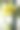 小番茄花图片下载