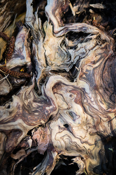 木纹抽象图片下载