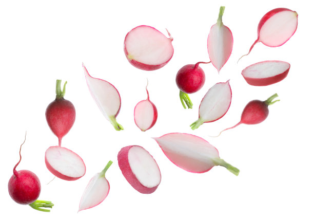 新鲜成熟的萝卜落在白色的背景上图片下载