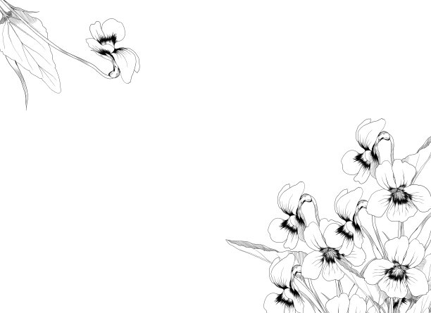 紫色线条艺术的紫罗兰花束装饰图片下载