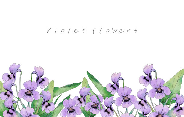水彩紫花紫罗兰花园图片下载